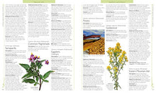 Load image into Gallery viewer, DK Encyclopedia of Herbal Medicine: 550 Herbs Loose Leaves and Remedies for Common Ailments