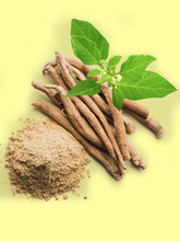 Load image into Gallery viewer, Ashwagandha Tincture - Nature’s Xanny