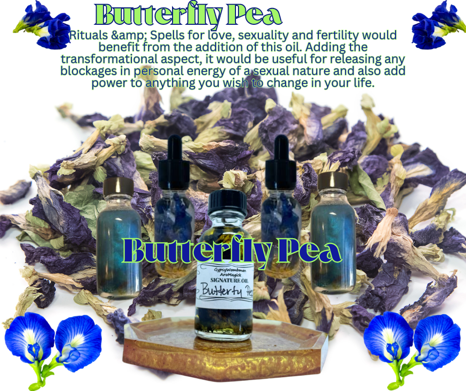 Butterfly Pea Oil