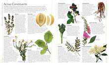 Load image into Gallery viewer, DK Encyclopedia of Herbal Medicine: 550 Herbs Loose Leaves and Remedies for Common Ailments