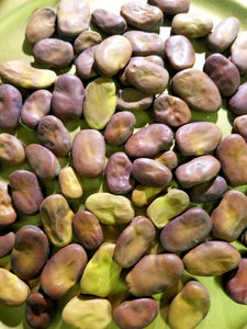 Mojo Beans African Wishing Beans